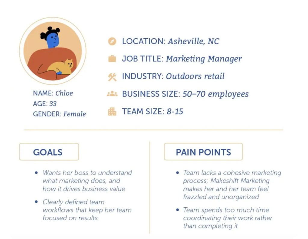 Marketing manager Chloe with business goals and pain points listed in a digital solution dashboard context.