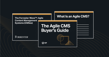 The Agile CMS Buyers Guide Cover