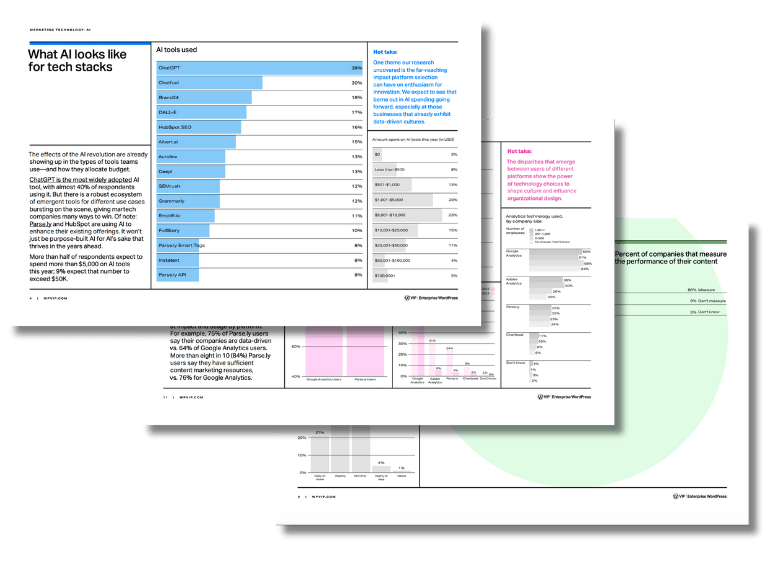 Analytics dashboard showing overlapping reports on AI tool usage and tech stacks for a digital solution.
