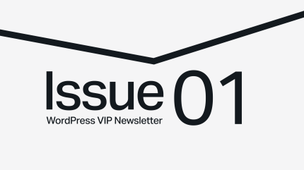 Text Issue 01 below a thick, black, downward-pointing chevron on a light background.