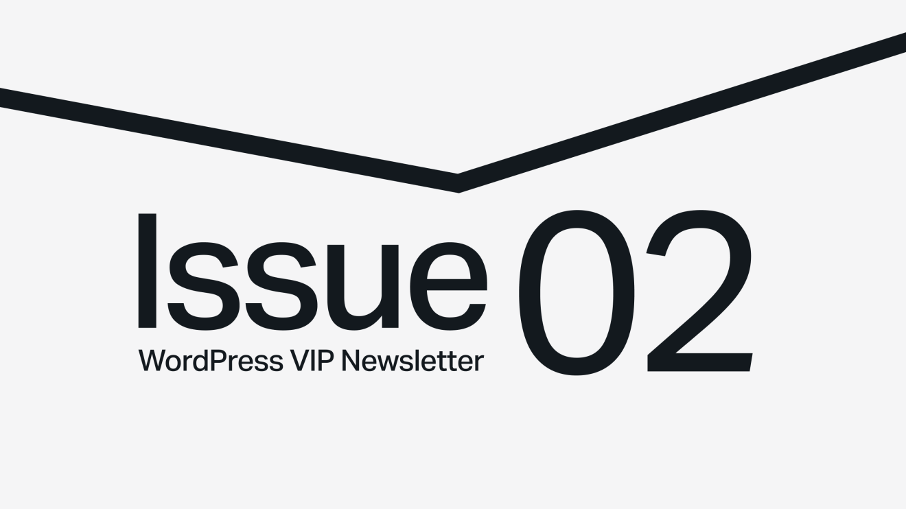 Text reads: Issue 02 WordPress VIP Newsletter with a bold black line above on a light background.