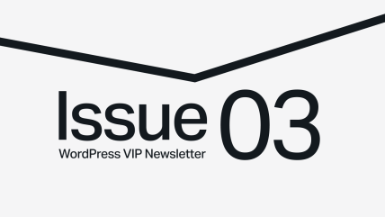 Text Issue 03 of WordPress VIP Newsletter below a thick, black, downward-pointing chevron on a light background.