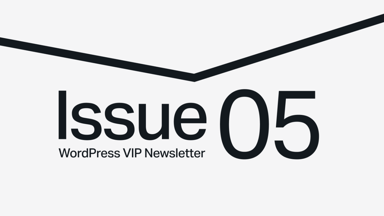 Text reading Issue 05 WordPress VIP Newsletter with a bold black line above on a light background.