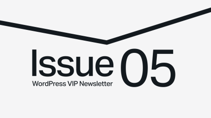 Text reading Issue 05 WordPress VIP Newsletter with a bold black line above on a light background.