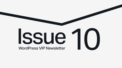 Issue 10 WordPress VIP Newsletter text with a black angled line above on a light gray background.