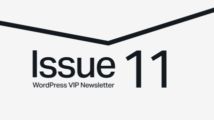 Issue 11 WordPress VIP Newsletter in bold black text on a light background with a V-shaped line above.