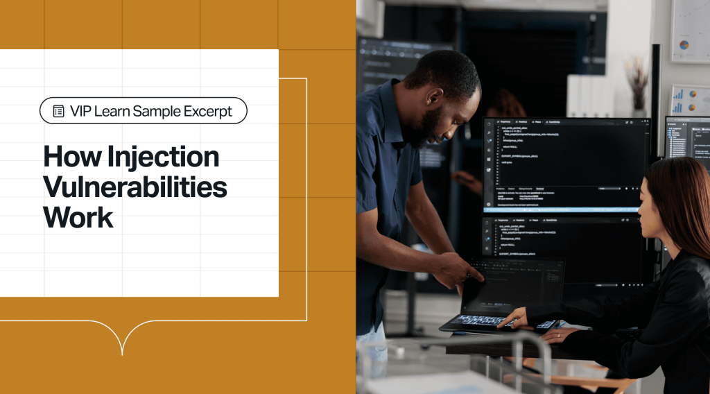 A photo of people working at a computer. The title "VIP Learn Sample Excerpt: How Injection Vulnerabilities Work" is on the side.