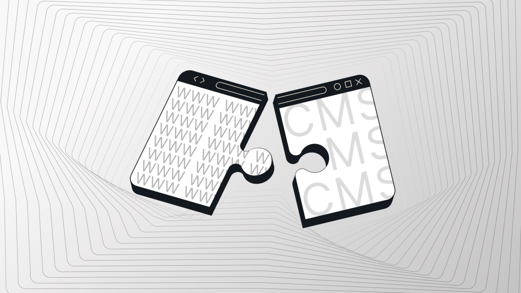 Two interlocking puzzle pieces shaped like browser windows—one filled with repeated "WWW" symbols representing web hosting, and the other with "CMS" text representing content management—symbolizing seamless integration on a soft gray, ripple-lined background.